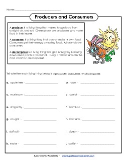 Producers, Consumers, and Decomposers Free Food Chains Worksheet