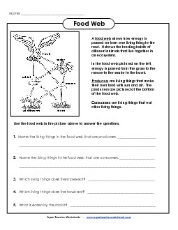 Food Web Worksheet Free Food Chains Worksheet