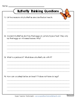 Butterfly Thinking Questions Animals Worksheet