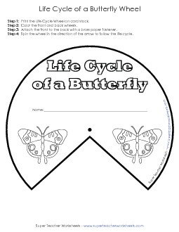 Butterfly Life Cycle Wheel Free Animals Worksheet