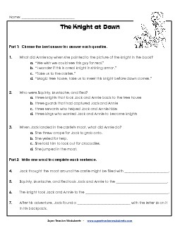 Comprehension Questions (Whole Book) Books Worksheet