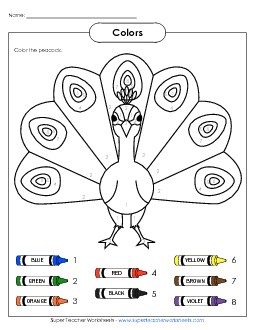 Peacock Colors Worksheet