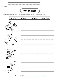 Write WH Words Phonics Digraphs Worksheet