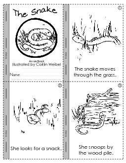 Mini-Book: The Snake Minibooks Worksheet