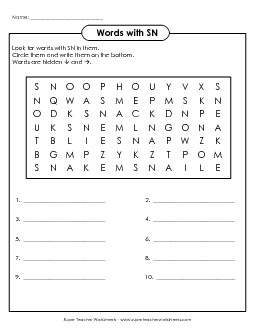 SN Word Search Phonics Words With Worksheet