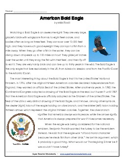 American Bald Eagle Reading Comprehension Worksheet