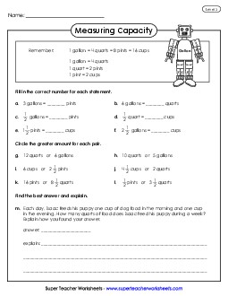 Capacity (Advanced) Measurement Worksheet