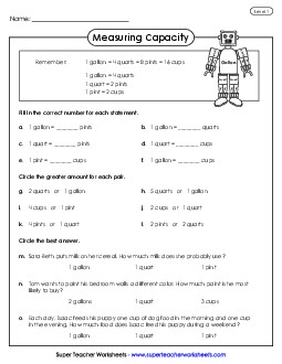 Capacity (Basic) Measurement Worksheet