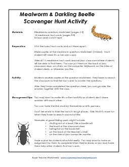 Darkling Beetle Scavenger Hunt Animals Worksheet