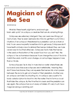 Octopus: Magician of the Sea Free Reading Comprehension Worksheet