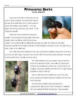 Rhinoceros Beetle 6th Grade Reading Comprehension Worksheet