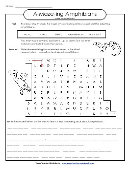 Word Maze: Frogs & Toads (Amphibians) A Maze Ing Worksheet