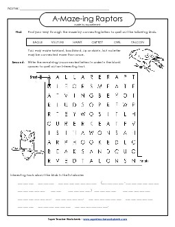 Word Maze: Raptors (Birds) A Maze Ing Worksheet