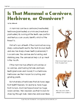 Carnivores, Herbivores, and Omnivores Reading Comprehension Worksheet