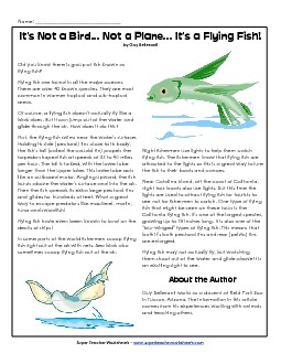 Flying Fish 4th Grade Reading Comprehension Worksheet