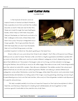 Leaf Cutter Ants 6th Grade Reading Comprehension Worksheet