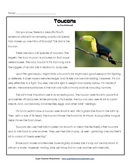 Toucans 5th Grade Reading Comprehension Worksheet