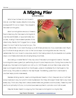 Bee Hummingbird Free 4th Grade Reading Comprehension Worksheet