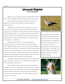 Secretary Bird 4th Grade Reading Comprehension Worksheet