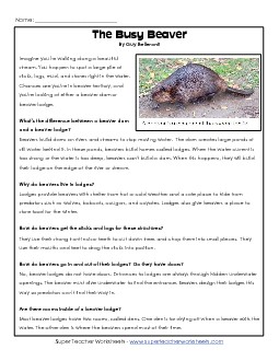 Beavers 6th Grade Reading Comprehension Worksheet