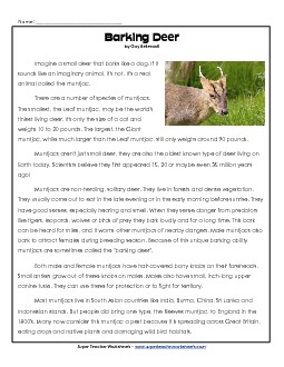 Muntjac (Barking Deer) 4th Grade Reading Comprehension Worksheet