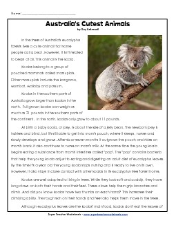 Koalas 4th Grade Reading Comprehension Worksheet