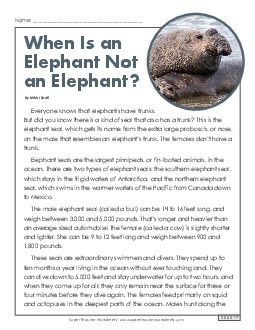 Elephant Seals Reading Comprehension Worksheet