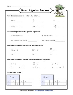 Basic Algebra Review Worksheet