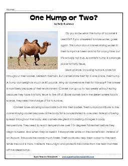 Camels 3rd Grade Reading Comprehension Worksheet