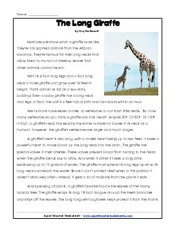 Giraffes 3rd Grade Reading Comprehension Worksheet