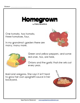 Grandma's Garden (Poem) 3rd Grade Reading Comprehension Worksheet