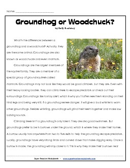 Groundhog or Woodchuck? Reading Comprehension Worksheet