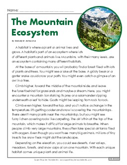 Mountain Ecosystem (Non-Fiction) 3rd Grade Reading Comprehension Worksheet