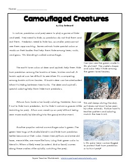 Camouflage 3rd Grade Reading Comprehension Worksheet