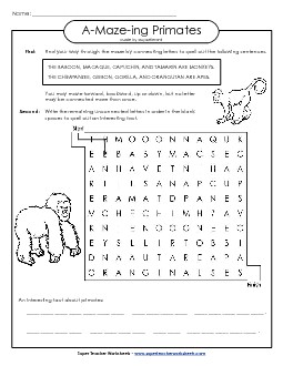 A-Maze-ing Puzzle: Primates A Maze Ing Worksheet