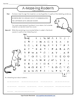 A-Maze-ing Puzzle: Rodents A Maze Ing Worksheet