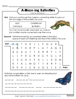 Word-Maze Puzzle: Butterfly Life Cycle A Maze Ing Worksheet