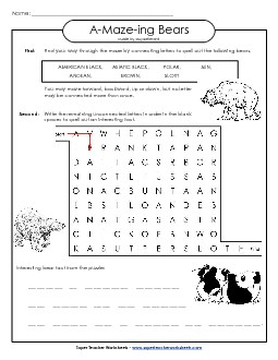 A-Maze-ing Puzzle: Bears A Maze Ing Worksheet