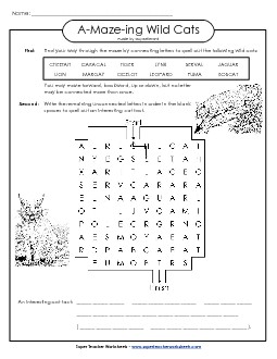 A-Maze-ing Puzzle: Wild Cats A Maze Ing Worksheet