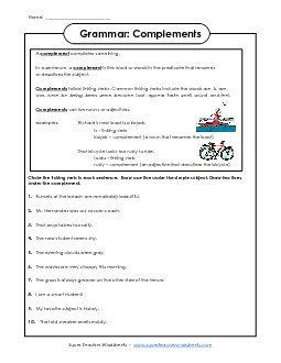 Linking Verbs & Complements (Advanced) Actionverbs Worksheet