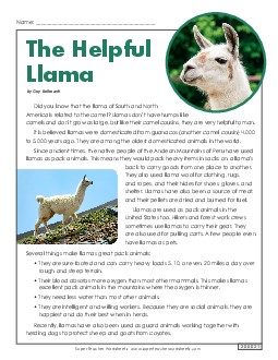 Llamas Reading Comprehension Worksheet