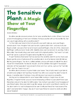 Article: Sensitive Plant Reading Comprehension Worksheet