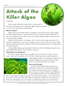 Attack of the Killer Algae 5th Grade Reading Comprehension Worksheet