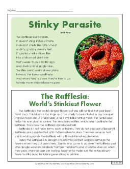 Rafflesia (Article & Poem) 5th Grade Reading Comprehension Worksheet