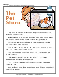 Pet Store Reading Comprehension Worksheet