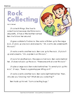 Rock Collecting 2nd Grade Reading Comprehension Worksheet