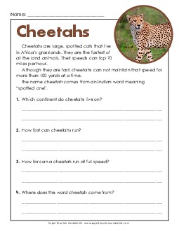 Cheetahs (Short) Reading Comprehension Worksheet