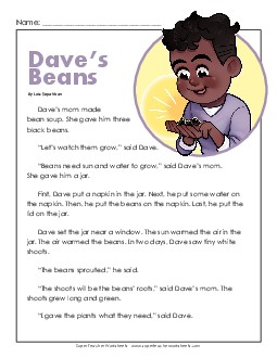 Dave's Beans 2nd Grade Reading Comprehension Worksheet