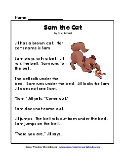 Sam the Cat 1st Grade Reading Comprehension Worksheet