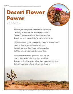 Poem: Desert Flower Power Reading Comprehension Worksheet